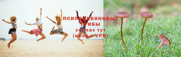 тгк Алексеевка