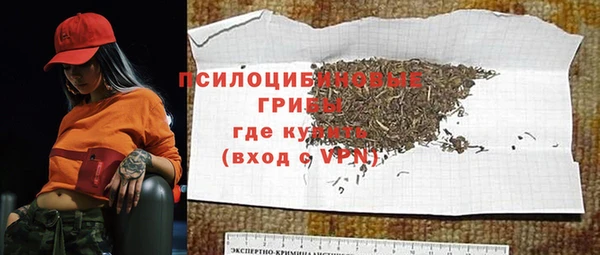spice Алексин