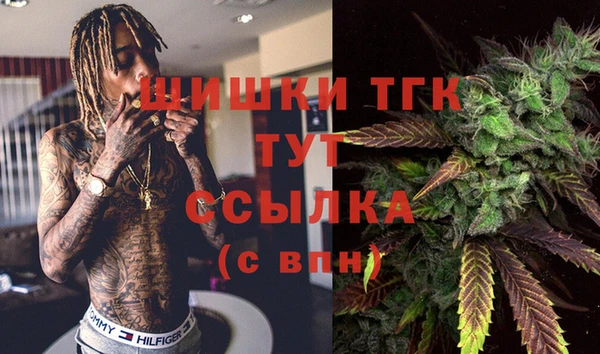 гидропоника Алзамай