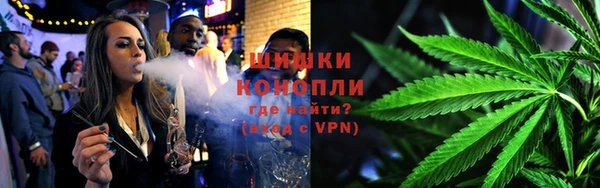 spice Алексин