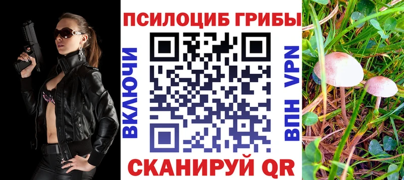 Галлюциногенные грибы ЛСД  Купить закладки  Высоцк 